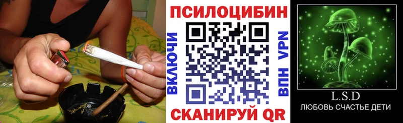 что такое наркотик  Камбарка  Псилоцибиновые грибы GOLDEN TEACHER 